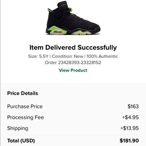 Jordan 6 retro Electric Green